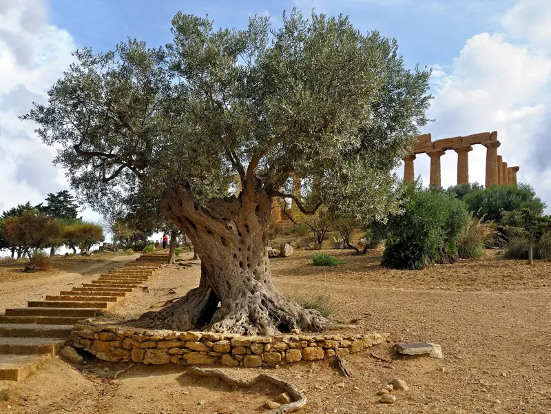 Sicily & Aeolian Islands Explorer photo 4
