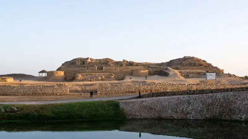 Salalah Winter Sun & Frankincense Coast 4D/3N photo 4