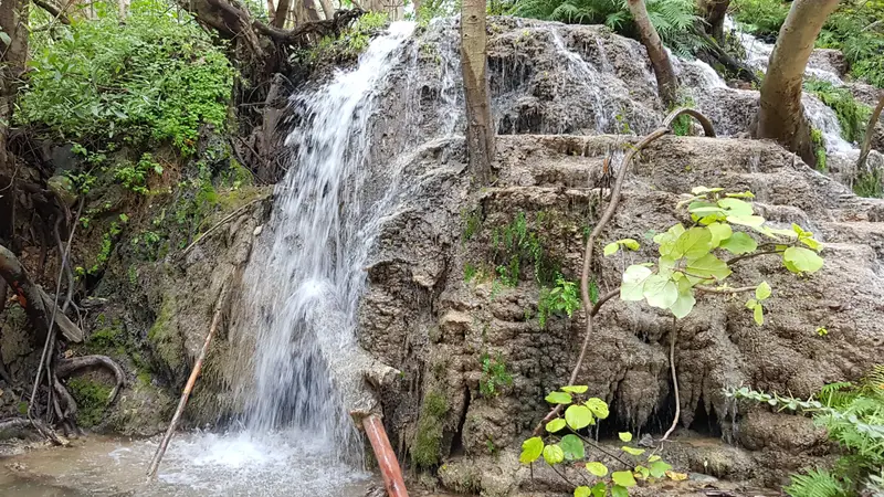 Salalah Khareef Monsoon Escape 5D/4N photo 1