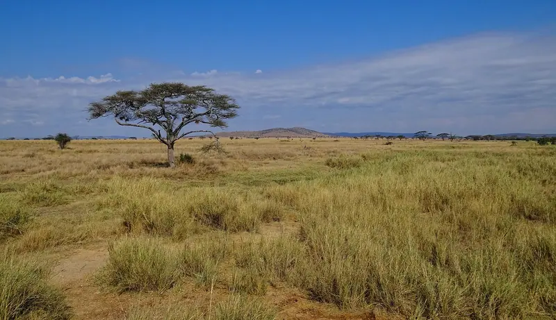 Africa holiday packages