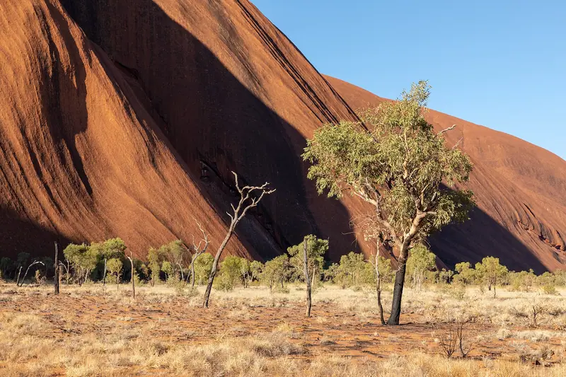 Australia & New Zealand holiday packages