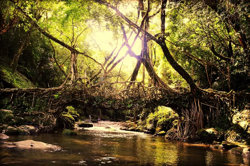Cherrapunjee holiday packages