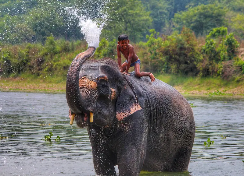 Chitwan holiday packages