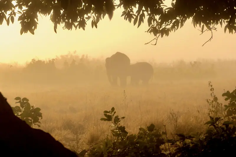 Jim Corbett Park holiday packages