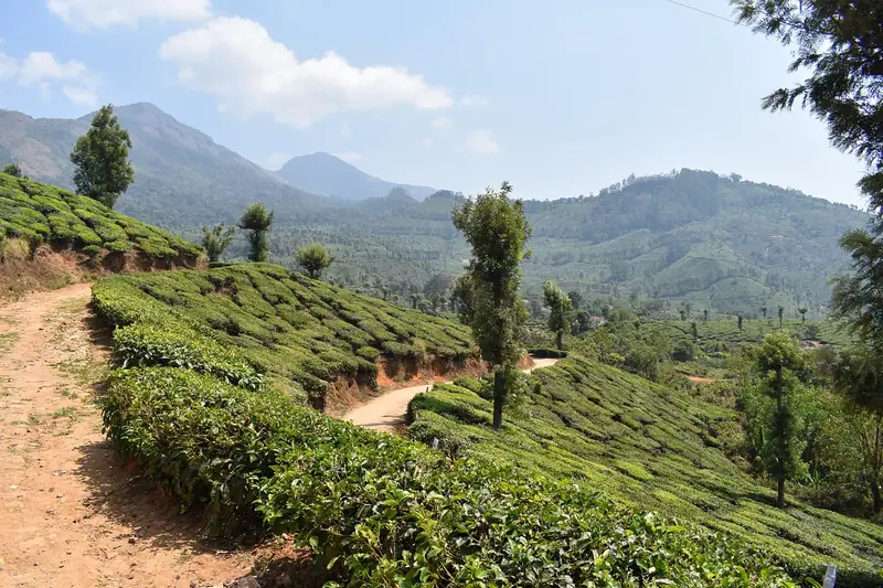Kerala holiday packages