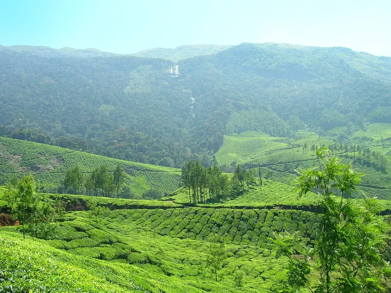 Munnar holiday packages