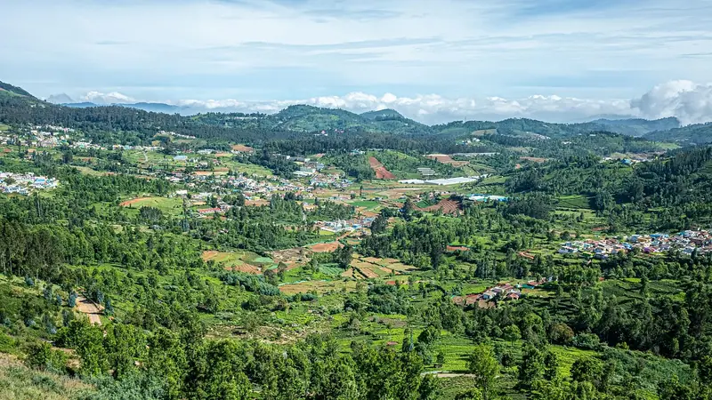 Ooty holiday packages