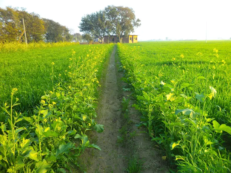 Punjab & Haryana holiday packages