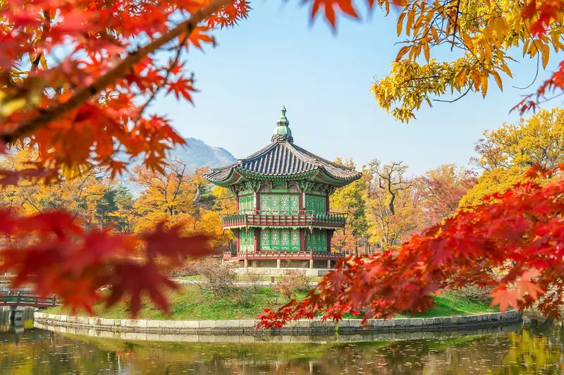 South Korea holiday packages