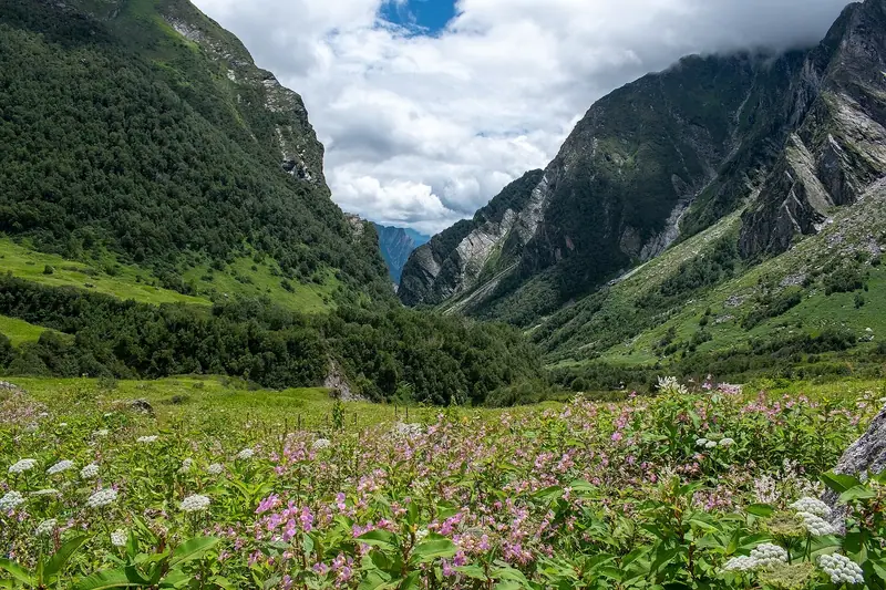 Uttarakhand holiday packages