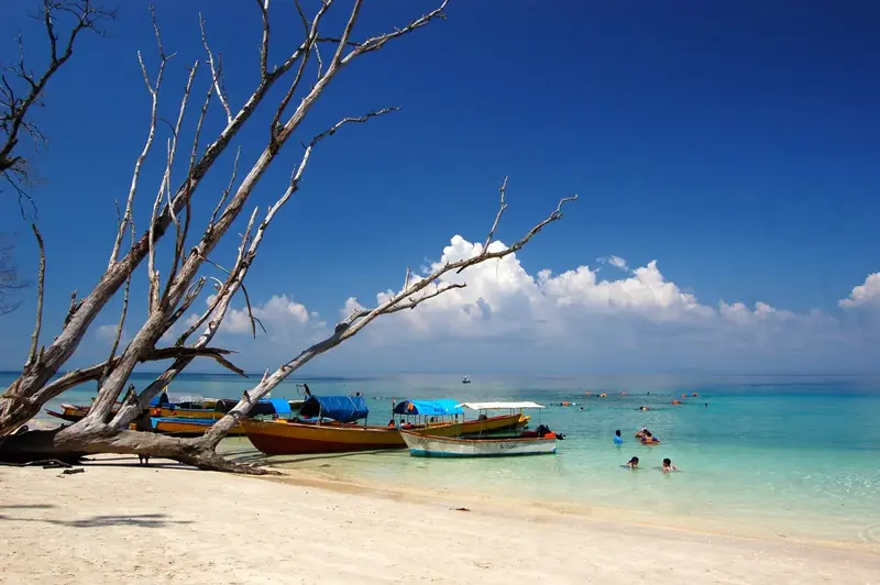Andaman Quick Escape – Port Blair & Havelock 5D/4N photo 2