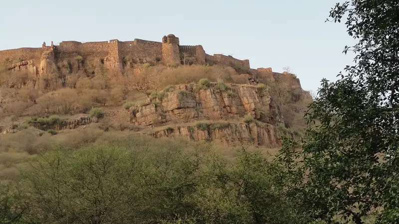 Golden Triangle with Ranthambore Tiger Safari 8D/7N photo 2