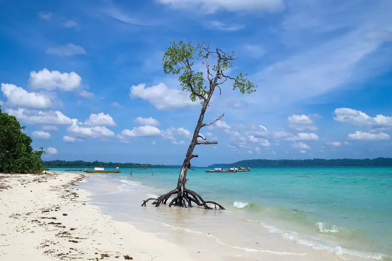 Andaman Island Hopper – Port Blair, Havelock & Neil 7D/6N photo 3