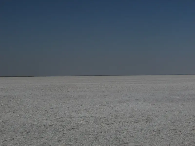 Rann Utsav – White Rann Tent City Stay 3D/2N photo 2