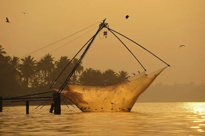 Best of Kerala – Munnar, Thekkady & Kumarakom 6D/5N photo 3