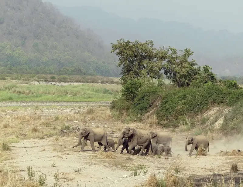 Nainital & Jim Corbett Getaway 6D/5N photo 2