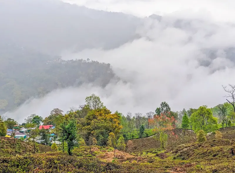 Eastern Himalayas – Gangtok, Pelling, Kalimpong & Darjeeling 8D/7N photo 3