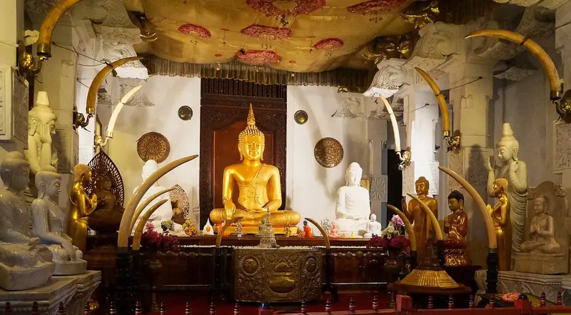 Explore Sri Lanka – Kandy, Nuwara Eliya, Yala, Bentota & Colombo 9D/8N photo 3