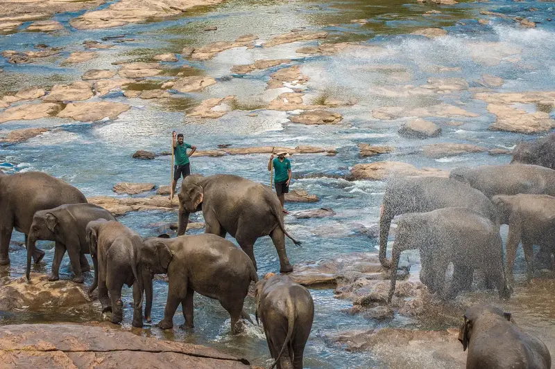Sri Lanka Heritage & Beaches – Sigiriya, Nuwara Eliya & Bentota 7D/6N photo 3