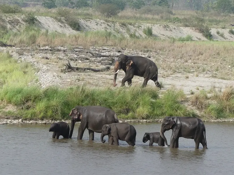 Uttarakhand Hills & Wildlife – Nainital, Corbett & Mussoorie 7D/6N photo 2