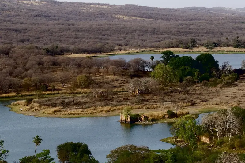 Jaipur & Ranthambore Tiger Safari 5D/4N photo 2