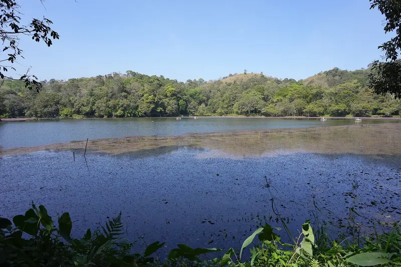 Coorg & Wayanad Escape 5D/4N photo 2