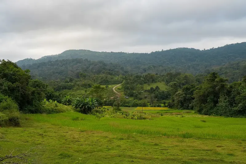 Coorg & Wayanad Escape 5D/4N photo 3