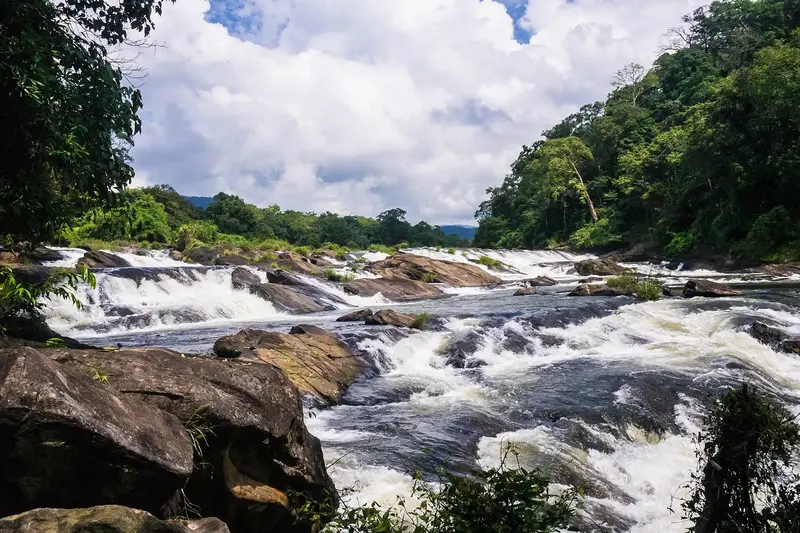 Kerala Backwaters & Athirappilly Falls 5D/4N photo 2