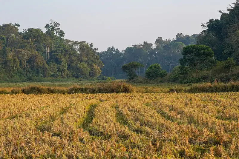 Coorg & Kabini 5D/4N photo 2