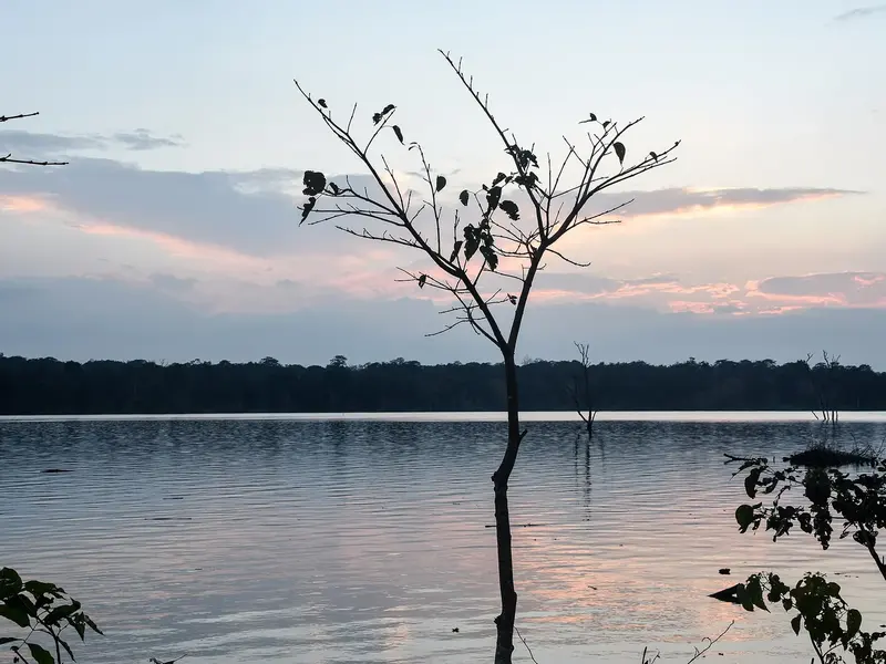 Coorg & Kabini 5D/4N photo 3