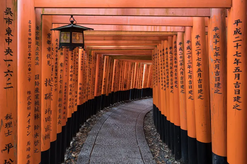 Cherry Blossom Japan – Tokyo, Kyoto & Osaka 7D/6N photo 5