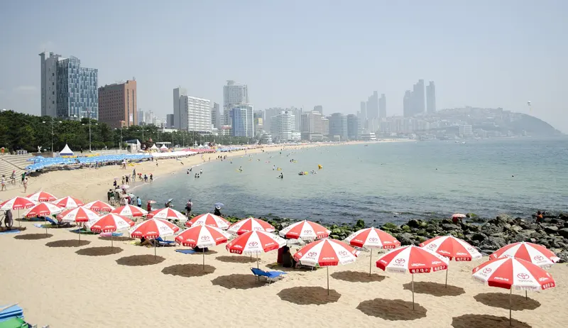 Seoul & Busan – Discover the Soul of Korea 6D/5N photo 2