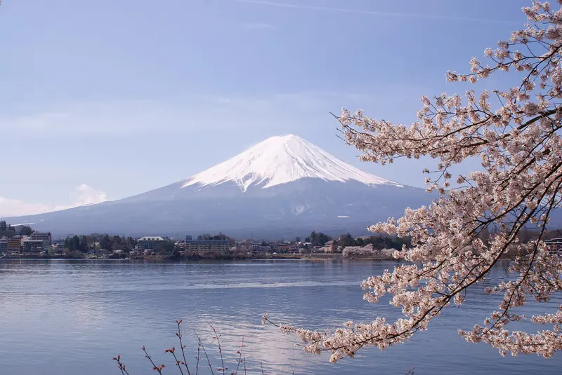 Cherry Blossom Japan – Tokyo, Kyoto & Osaka 7D/6N photo 2