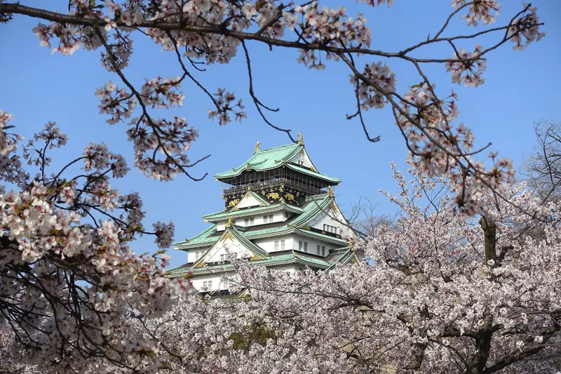 Cherry Blossom Japan – Tokyo, Kyoto & Osaka 7D/6N photo 4