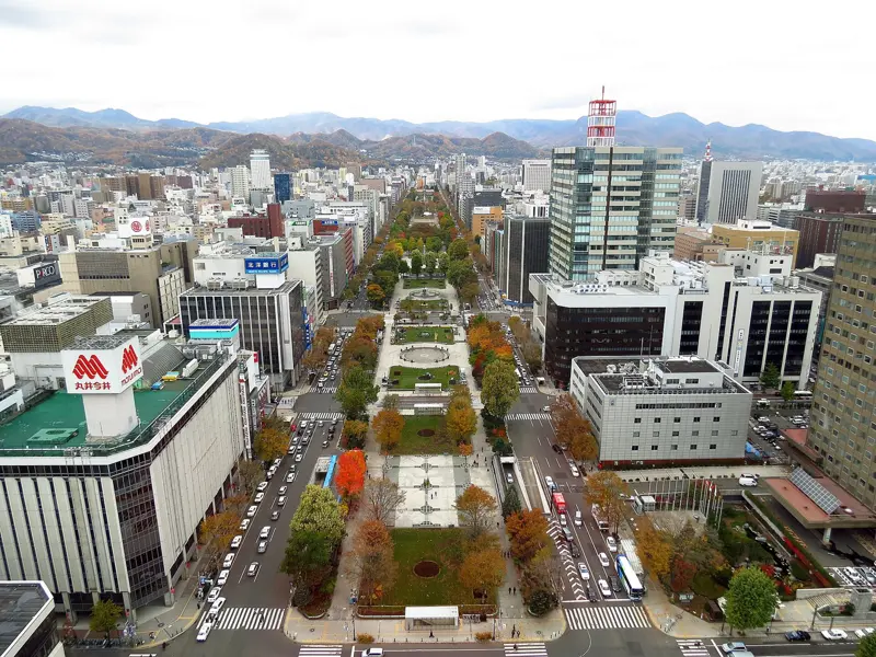 Tokyo & Sapporo Winter Escape 7D/6N photo 5