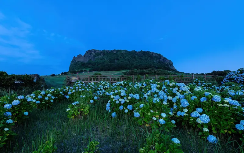 Luxury Golf Escape South Korea – Seoul & Jeju 8D/7N photo 3