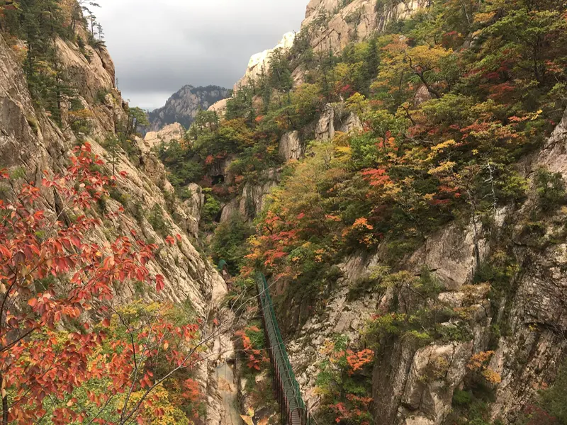 Autumn Colours of South Korea – Seoul & Busan 8D/7N photo 2