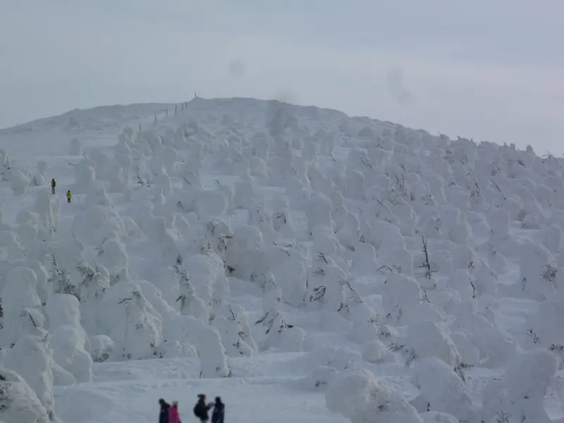 Tohoku Winter Special – Aomori, Sendai & Aizu 7D/6N photo 3
