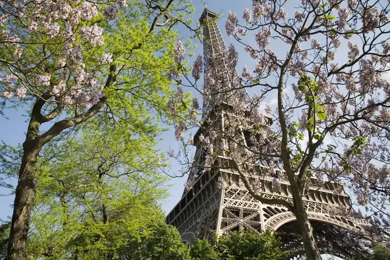 Paris & London Classic photo 6