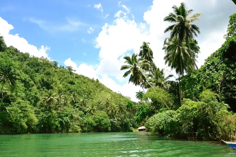 Bohol Bound: Chocolate Hills & Tarsier Trails 3D/2N photo 3