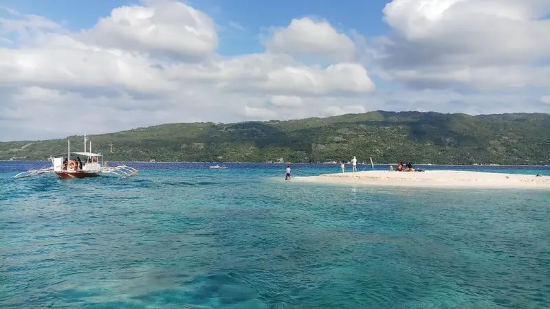 Cebu Wild & Wonder: Whale Sharks & Sunsets 4D/3N photo 2
