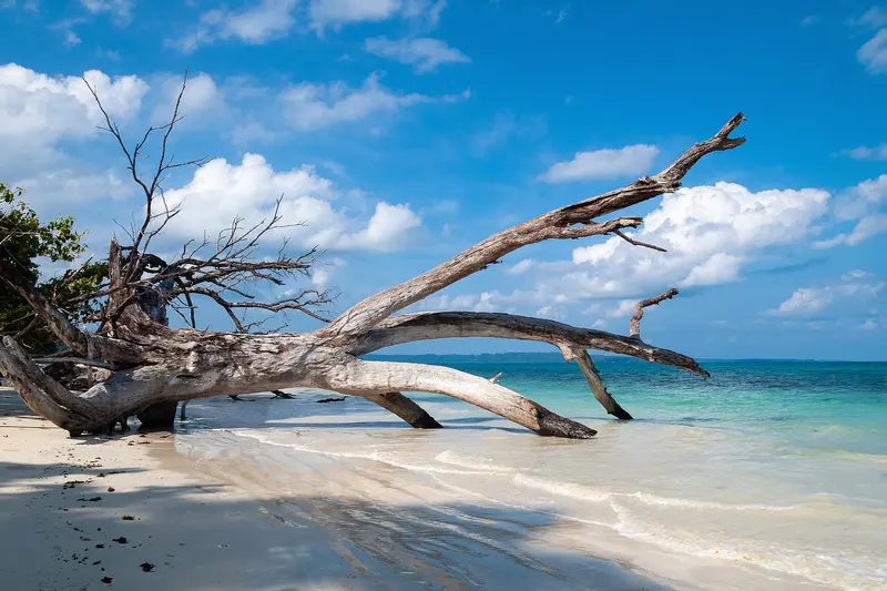 Andaman Escape – Port Blair, Ross Island & Havelock 6D/5N photo 1