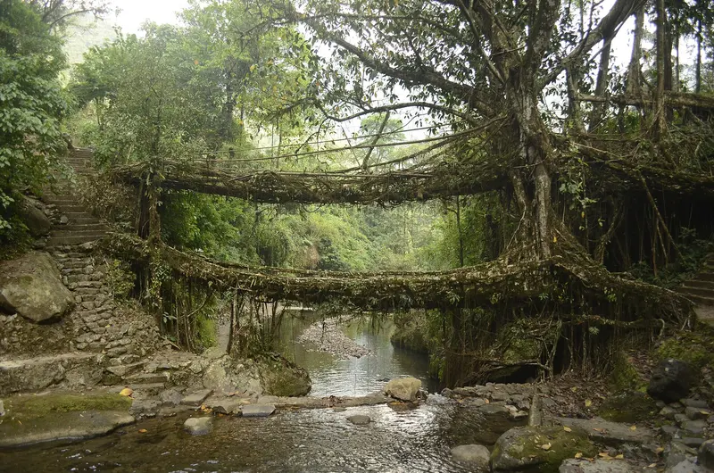 North East Marvels – Shillong, Dawki, Cherrapunjee & Kaziranga 7D/6N - 7 days holiday package
