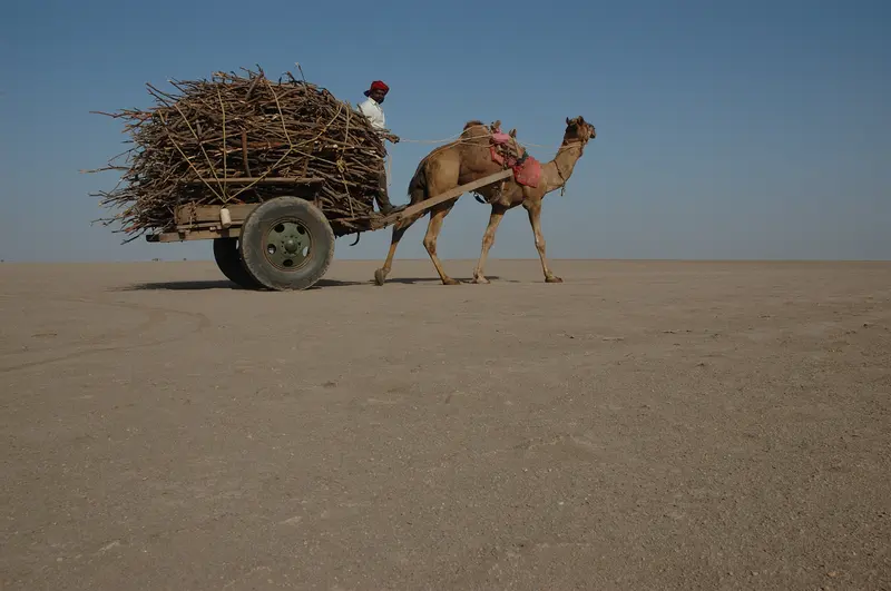 Rann Utsav – White Rann Tent City Stay 3D/2N - 3 days holiday package