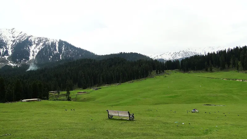 Charismatic Kashmir – Houseboat, Pahalgam, Gulmarg & Doodhpathri 8D/7N - 8 days holiday package