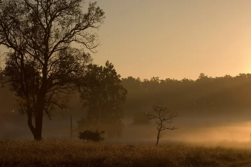 Kanha & Pench Tiger Safari 5D/4N - 5 days holiday package