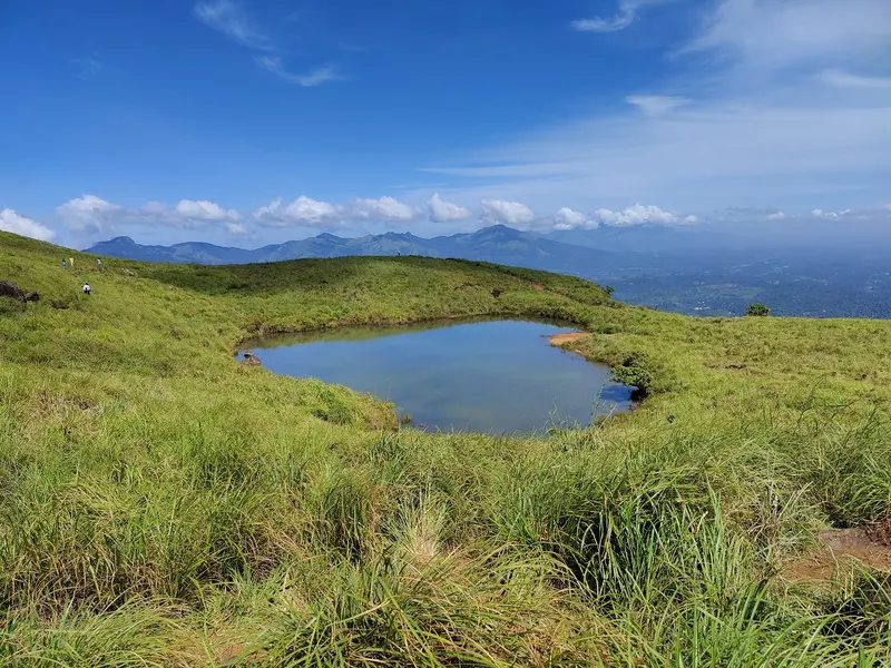 Coorg & Wayanad Escape 5D/4N - 5 days holiday package