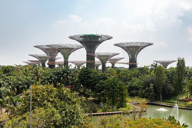 Singapore with Universal Studios, Sentosa & Night Safari 5D/4N - 5 days holiday package