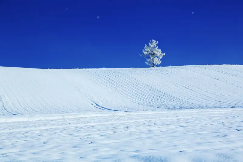 Japan Winter Special – Tokyo, Fukushima & Hokkaido 14D/13N - 14 days holiday package