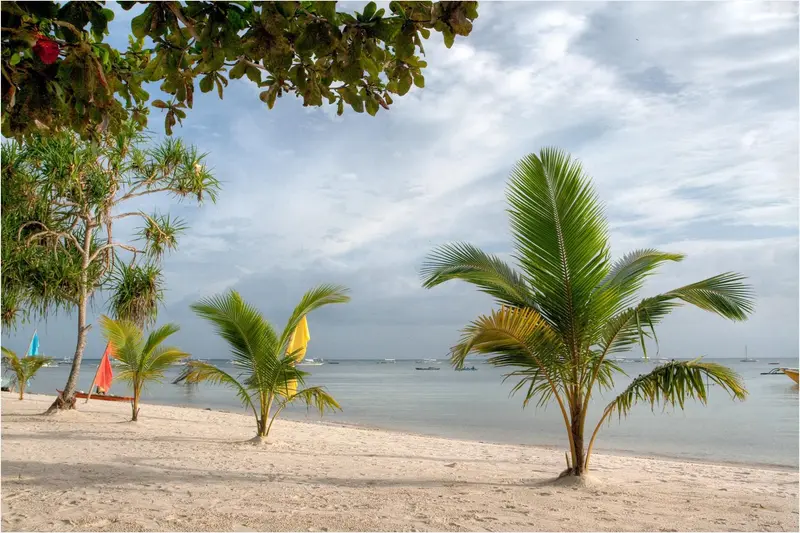 Visayas Four-Stop Trail: Cebu, Bohol, Leyte & Manila 6D/5N photo 1